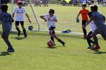 IMG_0093 (cam 0)