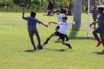 IMG_0096 (cam 0)