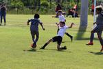 IMG_0097 (cam 0)