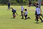 IMG_0099 (cam 0)