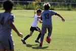 IMG_0134 (cam 0)