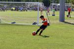 IMG_0141 (cam 0)