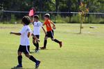 IMG_0155 (cam 0)
