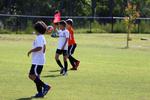 IMG_0156 (cam 0)
