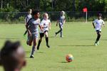 IMG_0178 (cam 0)