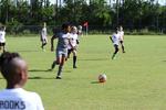 IMG_0181 (cam 0)