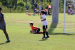 IMG_0198 (cam 0)