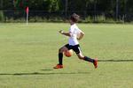 IMG_0210 (cam 0)