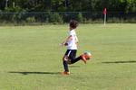 IMG_0213 (cam 0)