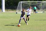 IMG_0219 (cam 0)