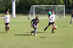 IMG_0221 (cam 0)