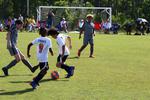 IMG_0223 (cam 0)