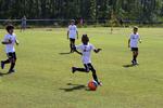 IMG_0228 (cam 0)