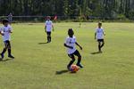 IMG_0229 (cam 0)