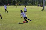 IMG_0230 (cam 0)