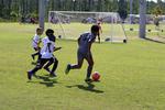 IMG_0237 (cam 0)