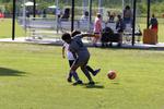 IMG_0240 (cam 0)