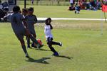 IMG_0253 (cam 0)