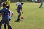 IMG_0255 (cam 0)