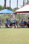 IMG_0071 (cam 0)