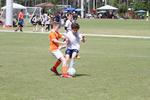 IMG_0003 (cam 0)