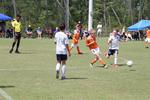 IMG_0011 (cam 0)