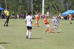 IMG_0012 (cam 0)