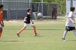IMG_0024 (cam 0)