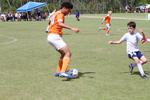 IMG_0039 (cam 0)