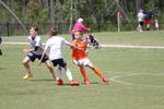 IMG_0046 (cam 0)