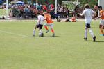 IMG_0082 (cam 0)