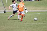 IMG_0101 (cam 0)