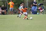 IMG_0132 (cam 0)