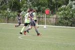 IMG_0019 (cam 0)