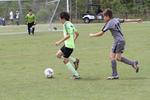 IMG_0041 (cam 0)