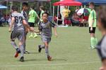 IMG_0178 (cam 0)