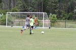IMG_0242 (cam 0)