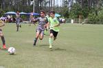 IMG_0252 (cam 0)