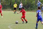IMG_0008 (cam 0)