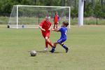 IMG_0015 (cam 0)