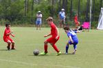 IMG_0030 (cam 0)