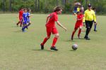 IMG_0035 (cam 0)