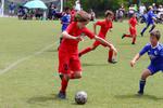 IMG_0040 (cam 0)