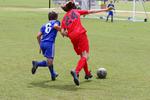 IMG_0043 (cam 0)