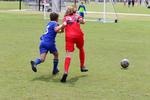 IMG_0044 (cam 0)