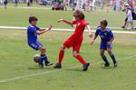 IMG_0050 (cam 0)