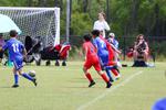 IMG_0057 (cam 0)