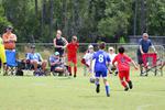 IMG_0129 (cam 0)