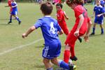 IMG_0150 (cam 0)