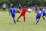 IMG_0151 (cam 0)